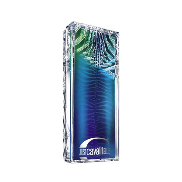 Roberto Cavalli Just Cavalli Blue 60ml EDT Spray Men